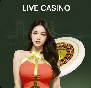 金刚app下载官方网站